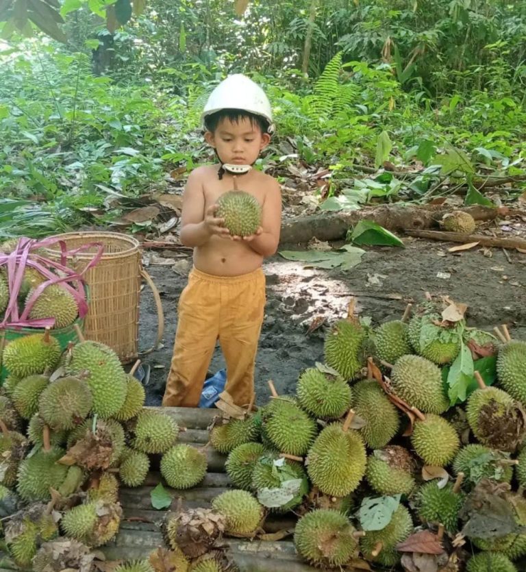 Aksel anak kedua dari Pak Korneles Detang sedang berada di Munan (Kebun) Durian